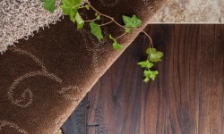 Eco-Friendly Flooring