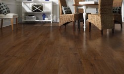 Scratch-Resistant Vinyl and Laminate Flooring