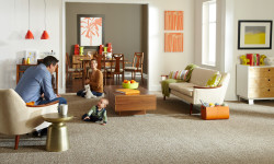 Holiday Carpet Cleaning