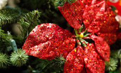 Tips for Protecting Your Floors from Your Christmas Tree