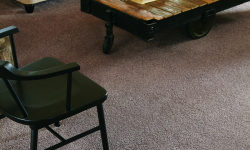 Revive Your Carpet